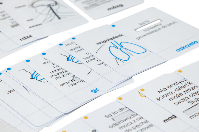 Worksheets - Internal structure of a person - with windows