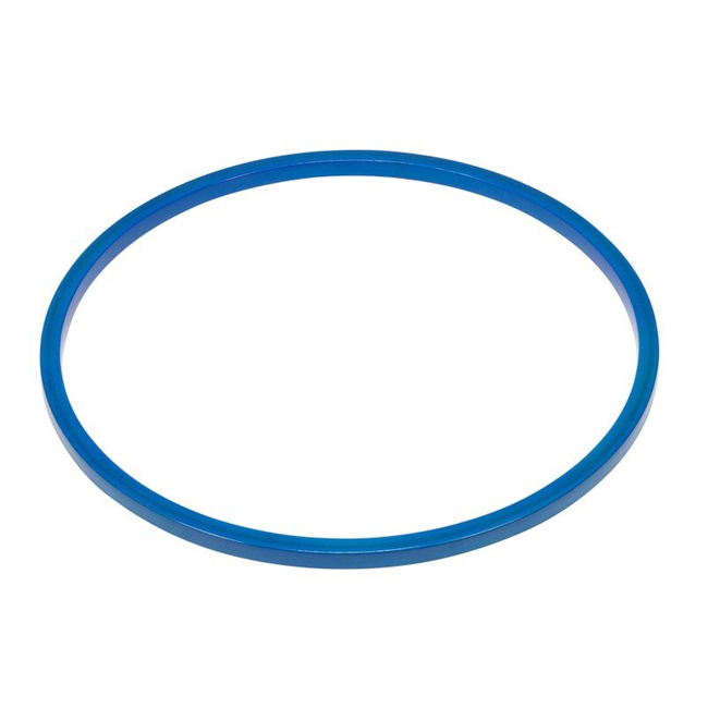 Hula Hoop: Blue (45 cm)