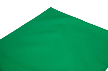 Polishing pad - green