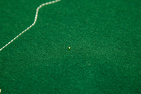 Map of Poland - administrative division - voivodships