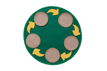 Zestaw mat - do pracy z cyklem rozwojowym -zielone