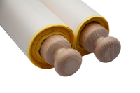 Civilization Timeline Ribbon – Centuries – Roman Numerals