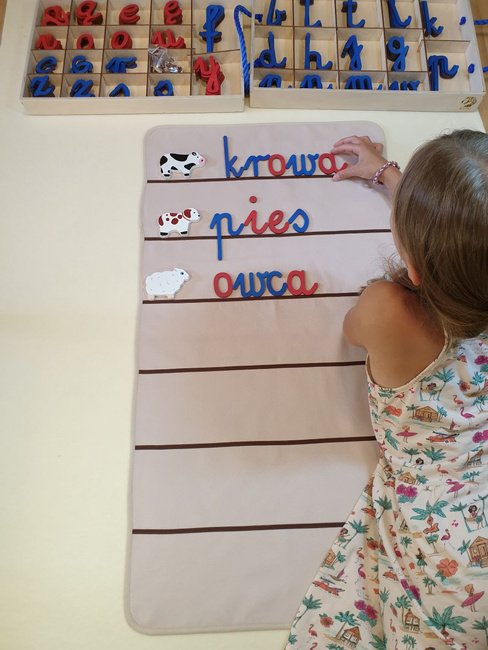 Movable Alphabet – Cursive Letters – lowercase and UPPERCASE, 268 letters