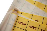 Civilization Timeline Ribbon – Centuries – Roman Numerals