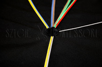 die Uhr der Epochen und Äonen